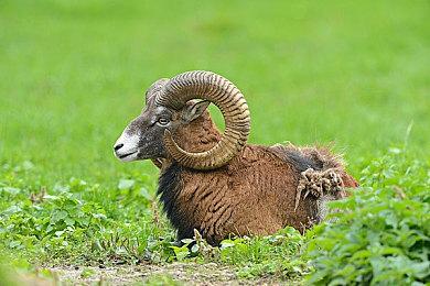 《Fear Underground》DEMO发布 2024年Q1发售