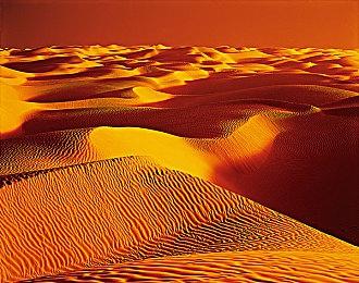 动视CEO与微软高管盛赞CMA初步批准收购决定